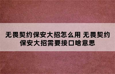 无畏契约保安大招怎么用 无畏契约保安大招需要接口啥意思